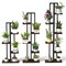 Versatile 3-Piece Wood Plant Stand Set 4 5 6-Tier Design for Indoor Flower Display